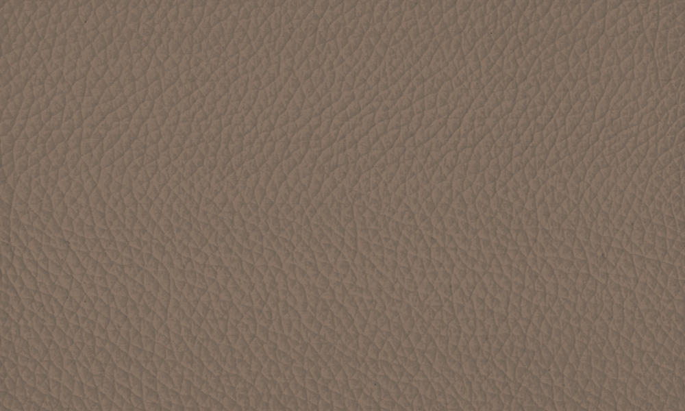 Terra -dettaglio