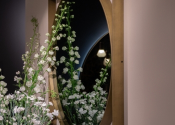  gallery-6