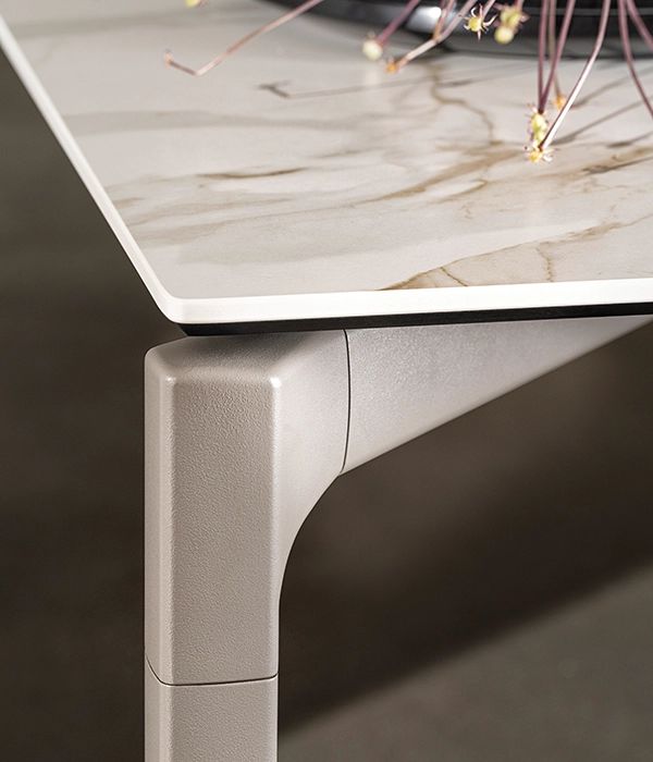 BONE TABLE gallery4